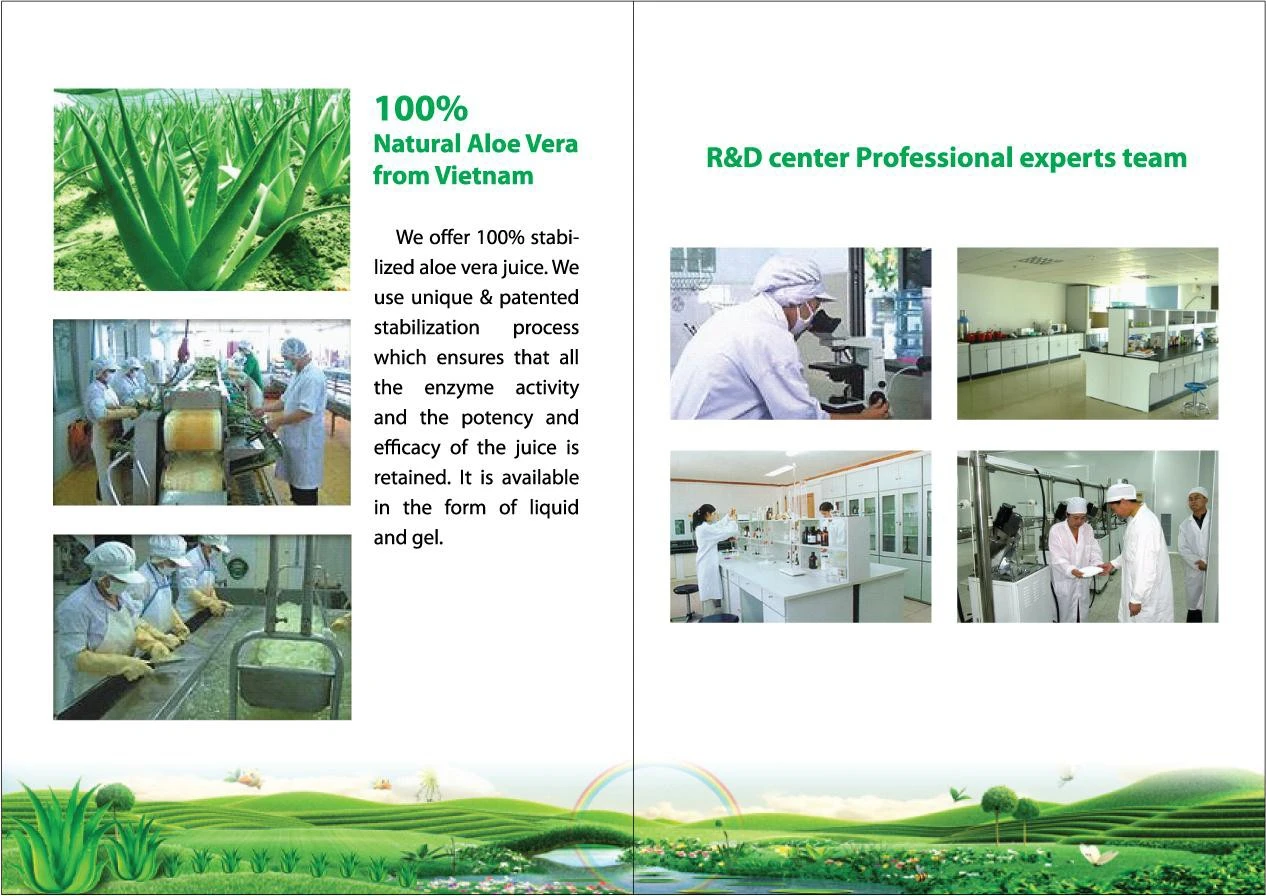 Catalog Introduction 2 from fruit juice brands