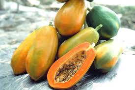 Papaya