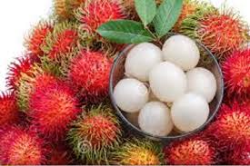 Rambutan