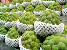 Sweetsop Custard Apple