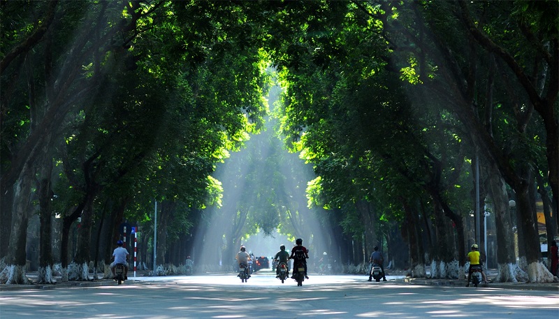 Autumn Season The Most Romantic Time Of The Year In Hanoi