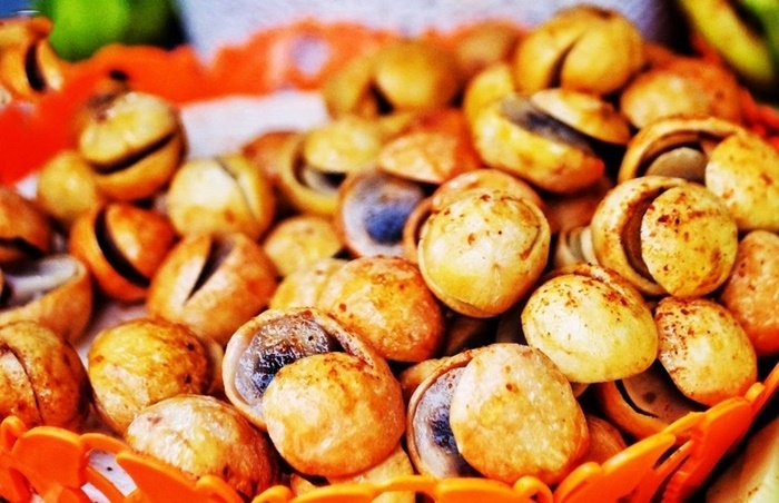 Dracontomelon creates the distinctive flavor of the autumn in Hanoi