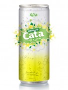 250ml Carbonated Lime - Lemon Flavor Drink