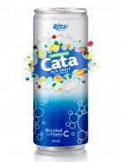 250ml Carbonated Mix Fruit Flavor Drink