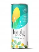 250ml  canned Collagen and hyaluronic acid  drink original flavor