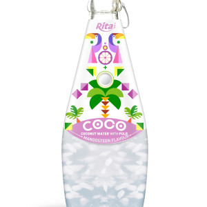 290ml Glass Bottle Mangosteen Flavour Sparkling Coconut Water with Pulp