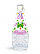 290ml Glass Bottle Mangosteen Flavour Sparkling Coconut Water with Pulp