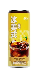 315ml sleek can Iced Americano coffee drink with kumquat