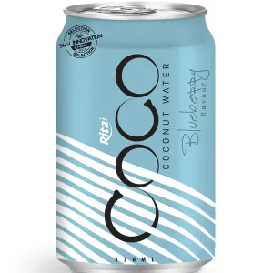 330ml Alu Can Blueberry flavour Coconut Water 