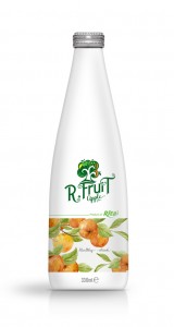 330ml Apple Fruit Juice