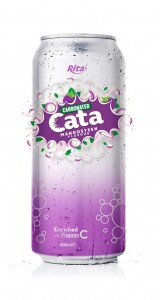 500ml Carbonated  Mangosteen Flavor Drink