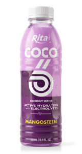 500ml Mangosteen Flavored Coconut Water with Electrolytes PET Bottle