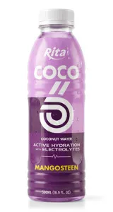 500ml Mangosteen Flavored Coconut Water with Electrolytes PET Bottle 500ml Mangosteen Flavored Coconut Water with Electrolytes PET Bottle