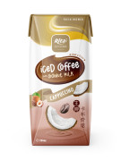 Best Iced coffee Coconut milk cappuccino dairy free