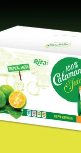 Calamansi juice drink 100ml per pouch 