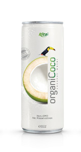 Design Organic-Coconut-water 250ml