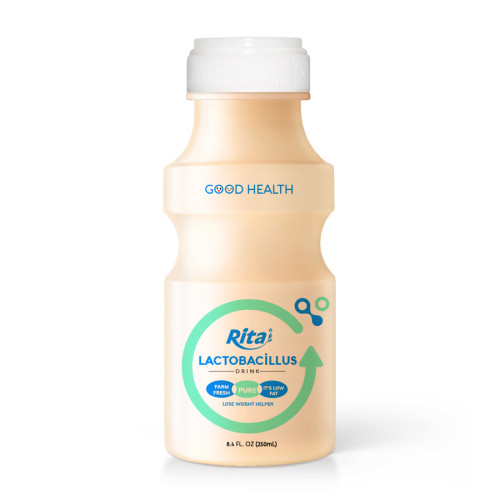 Lactobacillus drink 250ml