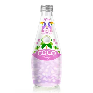 NFC mangosteen Coconut water with Pulp 290ml