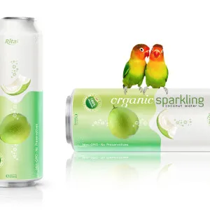 Organic-Sparkling-Coconut-water 500ml