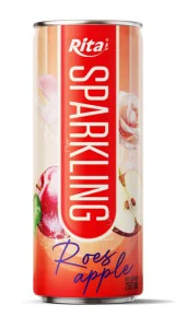 Sparkling drink fruit apple and roes 250ml cans