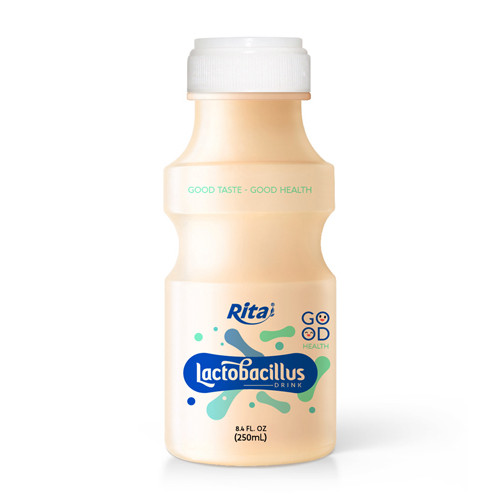 Wholesale Lactobacillus drink 250ml